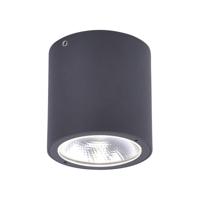 Paul Neuhaus Led plafondspot Georg 9673-13