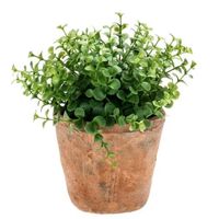 Kunstplant eucalyptus - groen - in oud terracotta pot - 20 cm - thumbnail