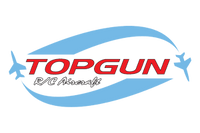 Top Gun Park Flite Cessna 182 12A ESC - thumbnail