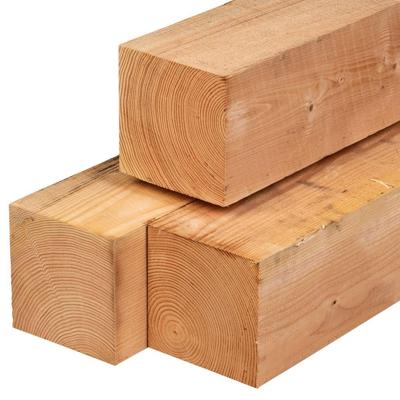 Paal douglas 20,0x20,0x500 cm Tuindeco - Tuindeco