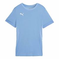 PUMA Unisex Teamgoal Matchday Jersey WMNS voetbalshirt
