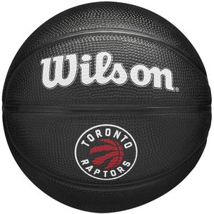 Wilson NBA Team Tribute Mini Toronto Raptors