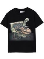 Molo t-shirt Rame à imprimé dinosaure - Noir