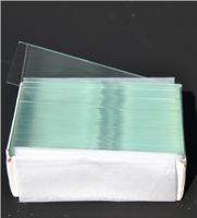 Objectglaasjes Microscoop (50 Stuks)