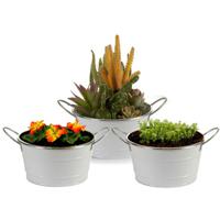 Plantenpot/bloempot teil - 3x - rond - zink - wit - D20 x H11 cm