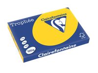 Clairefontaine Trophée Pastel, gekleurd papier, A3, 120 g, 250 vel, goudgeel - thumbnail