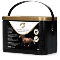 Excellent Equi Algenpellets - Ondersteunt afweer, darmfunctie en hoefgezondheid - Geschikt voor paarden - 1 kg