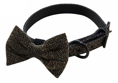 Croci halsband hond goldie 35X1,5 CM