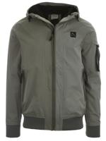 Chasin' Chasin' RETURN COTTON