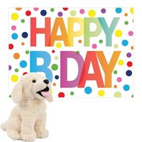 Pluche dieren knuffel labrador hond 20 cm met Happy Birthday wenskaart - thumbnail