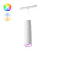 Philips Hue Perifo - White and color uitbreiding hanglamp wit 929003116001 - thumbnail