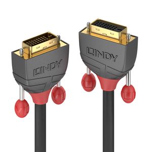 Lindy 36234 DVI kabel 5 m DVI-D DVI-I Zwart