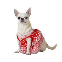BigBuy Pets Kostuum voor honden, maat S, flamenco-danseres