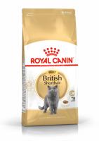 Royal Canin British Shorthair Adult kattenvoer 10kg