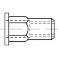 TOOLCRAFT TO-5444328 Popmoer M8 Staal 100 stuk(s)