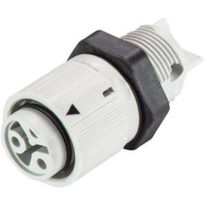 Wieland Electric 46.031.5054.0 Ronde connector Bus, inbouw Totaal aantal polen: 2 Serie (ronde connectoren): RST® MINI 1 stuk(s)