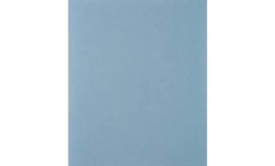 PFERD BP W 230x280 SiC 500 45015050 Handschuurpapier Korrelgrootte 500 (l x b) 280 mm x 230 mm 50 stuk(s)