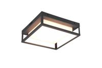 Trio Led plafondlamp Witham voor buiten 677860142