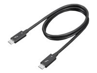 Lenovo 4X91K16968 Thunderbolt cable 0.7 m 40 Gbit/s Black
