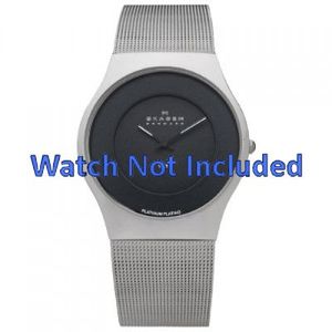 Horlogeband Skagen 233XLSBPL Mesh/Milanees Staal 18mm