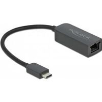 Delock 66645 Adapter USB Type-C male naar 2,5 Gigabit LAN compact