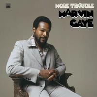 More Trouble - LP (0602508487927)