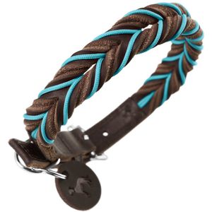 Hunter Solid Education Bruin, Turkoois Leer S Hond Standaard halsband