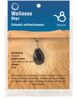 Steenbok Onyx Sterrenbeeldhanger met RVS Kettinkje - thumbnail