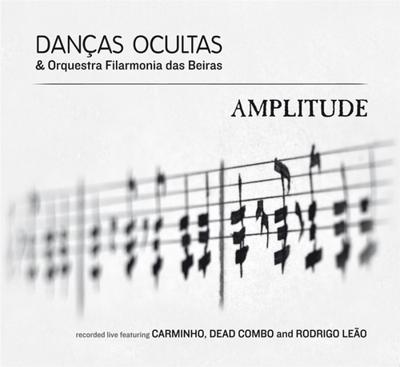 Amplitude - CD (4250095800689)