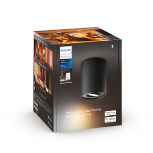 Philips Hue White Ambiance Pillar Opbouwspot - 1-spot - Ø 10,3 cm