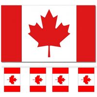 Landen vlaggen versiering set - Canada - Vlag 90 x 150 cm en vlaggenlijn 9 meter - thumbnail