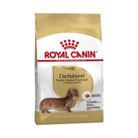 Royal canin Canin Canin dachshund / teckel adult - thumbnail