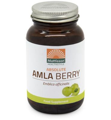 Mattisson Mattisson Absolute Amla Berry Extract 500mg (60vc) Mattisson Mattisson Absolute Amla Berry Extract 500mg (60vc)