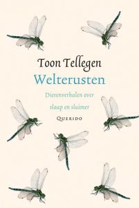 Welterusten - Toon Tellegen - ebook