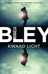 Kwaad licht (Paperback)