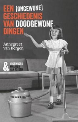 Een (ongewone) geschiedenis van doodgewone dingen - Annegreet van Bergen - ebook