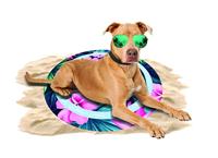 H.A.C. CoolPets Tropical Premium Cooling Mat Flower