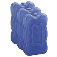 Set van 6x stuks grote koeltas/koelbox koelelementen blauw 350 gram 18 x 11 cm