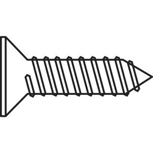 TOOLCRAFT 194663 HC2,9*6,5 D7982:A2K Verzonken plaatschroeven 2.9 mm 6.5 mm Kruiskop Phillips DIN 7982 Staal Verzinkt 100 stuk(s)