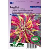 Bladamarant driekleurig bloemzaden - Garden Select - thumbnail