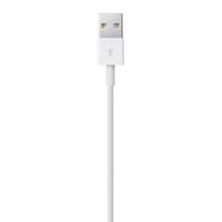 Apple Lightning / USB Kabel ME291ZM/A - Wit - 0.5m - thumbnail