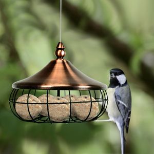 Voederhouder met Roestvrijstalen Draad om op te Hangen Voederdispenser met Ijzeren Rooster Voederstation voor Wilde Vogels