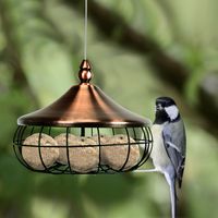 Voederhouder met Roestvrijstalen Draad om op te Hangen Voederdispenser met Ijzeren Rooster Voederstation voor Wilde Vogels - thumbnail