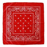 Budget rode boeren zakdoek 53 x 53 cm   - - thumbnail