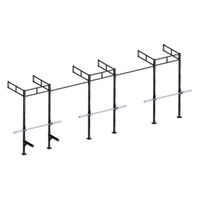 PTessentials Wall Mount Crossfit Rig V19-2