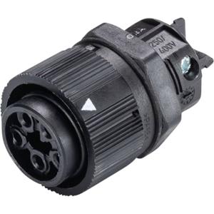 Wieland Electric 46.051.5053.1 Ronde connector Bus, inbouw Totaal aantal polen: 4 + PE Serie (ronde connectoren): RST® MINI 1 stuk(s)