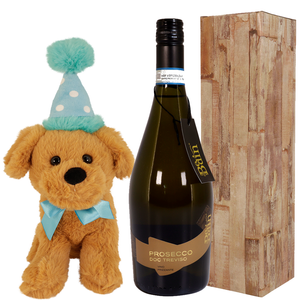 Feestmuts knuffel + Prosecco