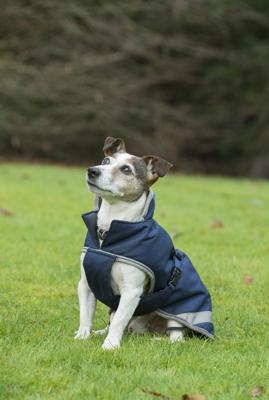 Bucas Freedom Dog Rug 50gram Bucas Freedom Dog Rug 50gram