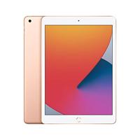 2020 Apple iPad (10.2-inch, Wi-Fi, 32GB) Gold (Refurbished)