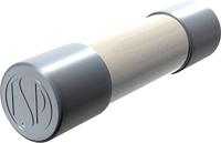 Püschel Feinsicherungen FSUSF1,6A FSUSF1,6A G-zekering inzetstuk (Ø x L) 6,3 mm x 32 mm 1,60 A 500 V Su